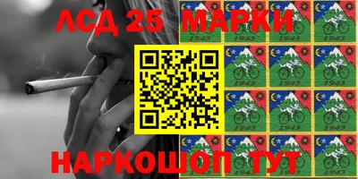 дмт Новозыбков
