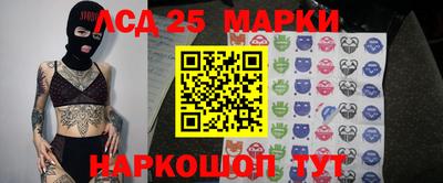 дмт Новозыбков