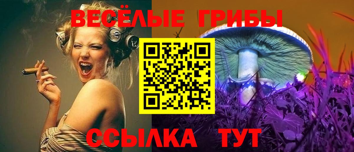 Галлюциногенные грибы ЛСД Фролово