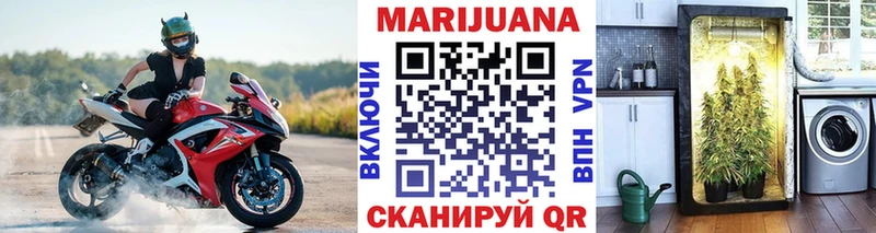 Каннабис White Widow Фролово