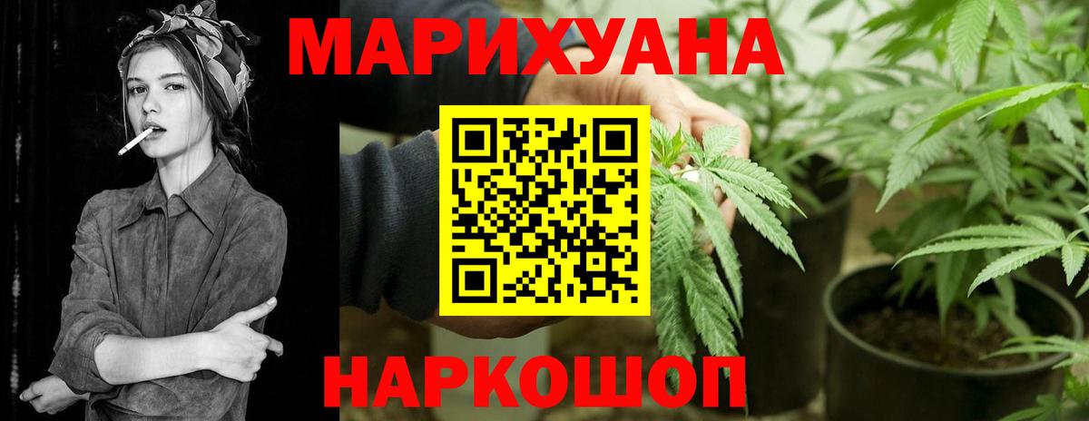 Бошки Шишки конопля Фролово